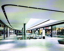 Sleek Shopping